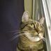 Anne Olmstead - Facebook