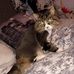Anne Olsson - Facebook
