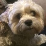 Ann Ormsby - @ann.ormsby.5 - Instagram