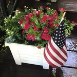 Anne Ormsby - @ormsbyanne - Instagram