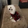 Anna Ownby - @roscoedashmom - TikTok
