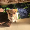 Anne Pearson - @anniebear4321 - TikTok