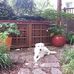 Anne Pearson - Facebook