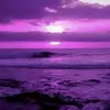 Anne Perry - @anne.perry87 - TikTok