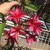 Anne Perryman - Facebook