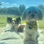 Lori Anne Perryman Evans - @lorievans1115 - Instagram