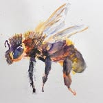 Anne Peyton - @annpeytonartworks - Instagram
