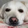 Anne Piazza22 - @annepiazza22 - TikTok