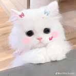 Anna Pichi - Facebook