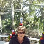 Anne Piche - Facebook