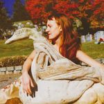 Amanda Anne Platt & The Honeycutters - @the_honeycutters - Instagram