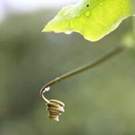 Anne Poh - @anne.poh - Instagram