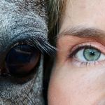 Anne Pohle - @annepohle - Instagram