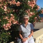 Anne Pollard - @pollard3777 - Instagram