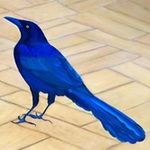 Ann Prather - @ann_prather - Instagram