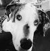 Anne Prather - Facebook