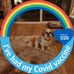 Anne Prentice - Facebook