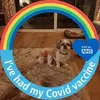 Anne Prentice - @anne.prentice - TikTok
