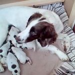 Anne Mably Prosser - @anne.prosser.5 - Instagram