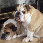 Anne Prosser - @anne.prosser - Instagram