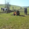 anneprosser461 - @anneprosser461 - TikTok