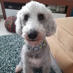 anne rabone - @annerabone - Instagram