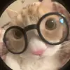 Anne🐱🍒 - @annelizramirez5 - TikTok