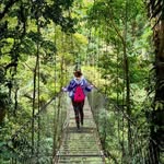 Anne Reber - @annereber - Instagram