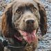 Ann Reeves - Facebook
