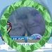 Anne Reeves - Facebook