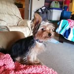 Anne Marie Prendergast - @annemarie.prendergast.79 - Instagram