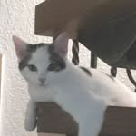 Anne Rickert - @anne.rickert.73 - Instagram