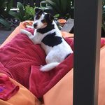 Anne Rigby - @anne.l.rigby - Instagram