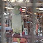 Anne Roberto - Facebook