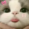 ayieye - @anne.roberto - TikTok