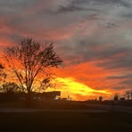 Elizabeth Anne Robison - Facebook