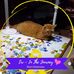 Ann Rollins - Facebook