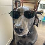 Anne Rollins - @anne_rollins - Instagram