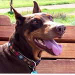 Anne Rollins - @valntyn55 - Instagram