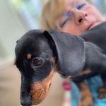 Ann Ronan - @ann.ronan.77 - Instagram