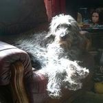 Anne Roper - @roper1587 - Instagram