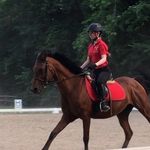 Anne Rousseau - @anne_equitation - Instagram
