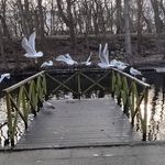 Anne Schade - @hanseatic1953 - Instagram
