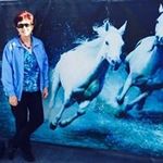 Anne Schade Elwood - @anneschadeelwood - Instagram