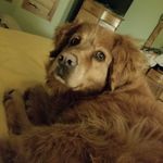 Anne schilling - @schilling1771 - Instagram