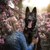 anneschu93 - @anneschu93 - TikTok