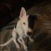 Ann Schultz - Facebook