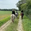 Anne Schultz - @anne.schultz - TikTok