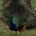 Anne Schuster - Facebook