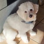 Anne Schuster - @anneschuster0504 - Instagram